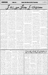 page4