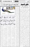 page3