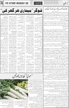 page6