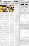 page No 3