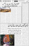 page6