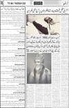 PAGE6