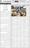 page6