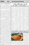 page4