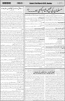 page5