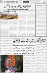 page6