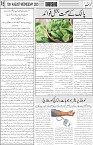 page5