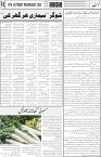 page6
