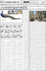 page5
