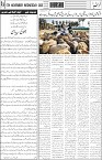 page4