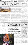 page6